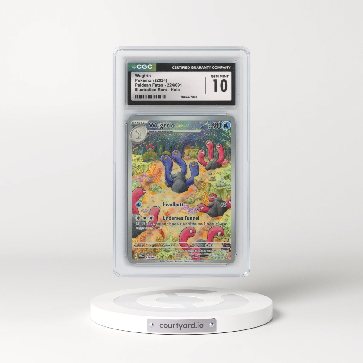 2024 Pokémon Paf EN-Paldean Fates #224 Wugtrio - Illustration Rare (CGC 10 GEM MINT)