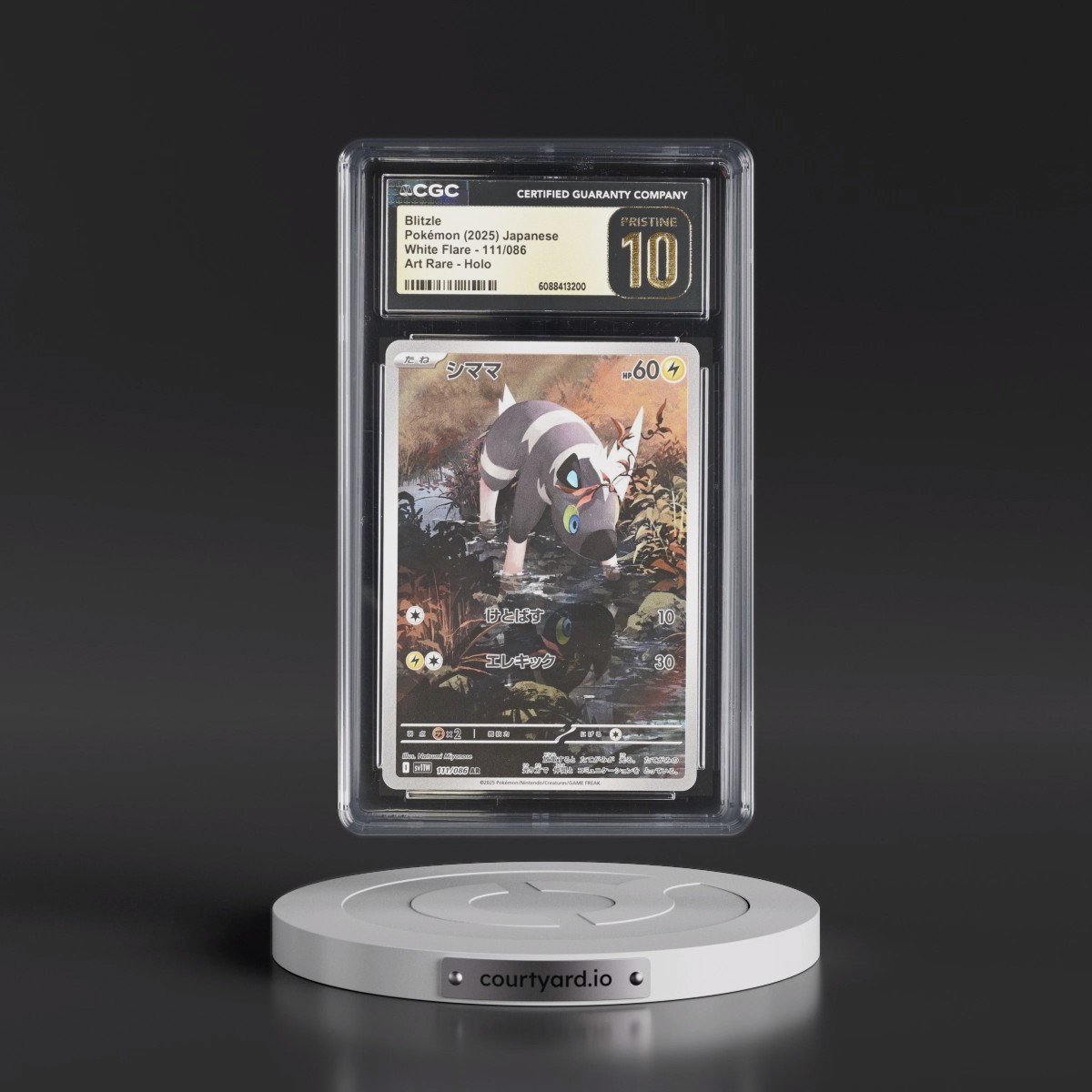 2025 White Flare - sv11W #111/086 Blitzle - Art Rare Holo (CGC 10 PRISTINE)