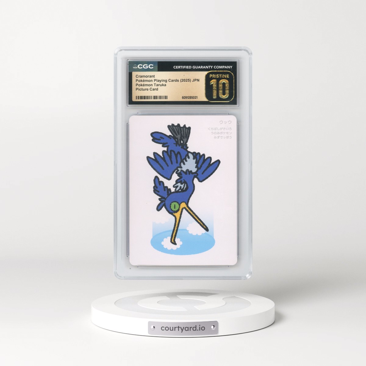 2025 Pokémon Taruka (2025) Cramorant - Picture Card (No Textbox) (CGC 10 PRISTINE)
