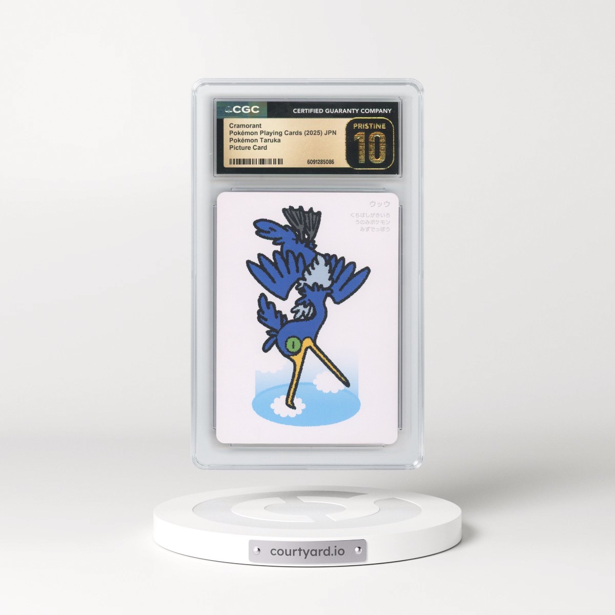 2025 Pokémon Taruka (2025) Cramorant - Picture Card (No Textbox) (CGC 10 PRISTINE)