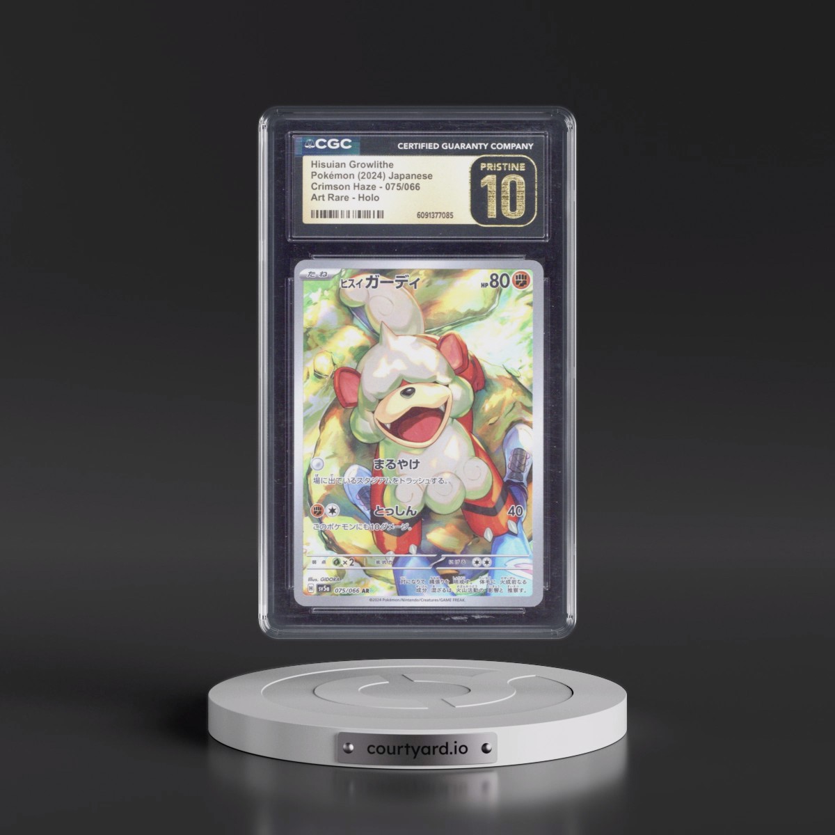 2024 Crimson Haze #075/066 Hisuian Growlithe - Art Rare Holo (CGC 10 PRISTINE)