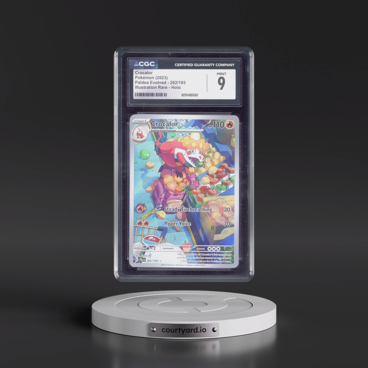 2023 Paldea Evolved - PAL EN #202/193 Crocalor - Illustration Rare Holo (CGC 9 MINT)