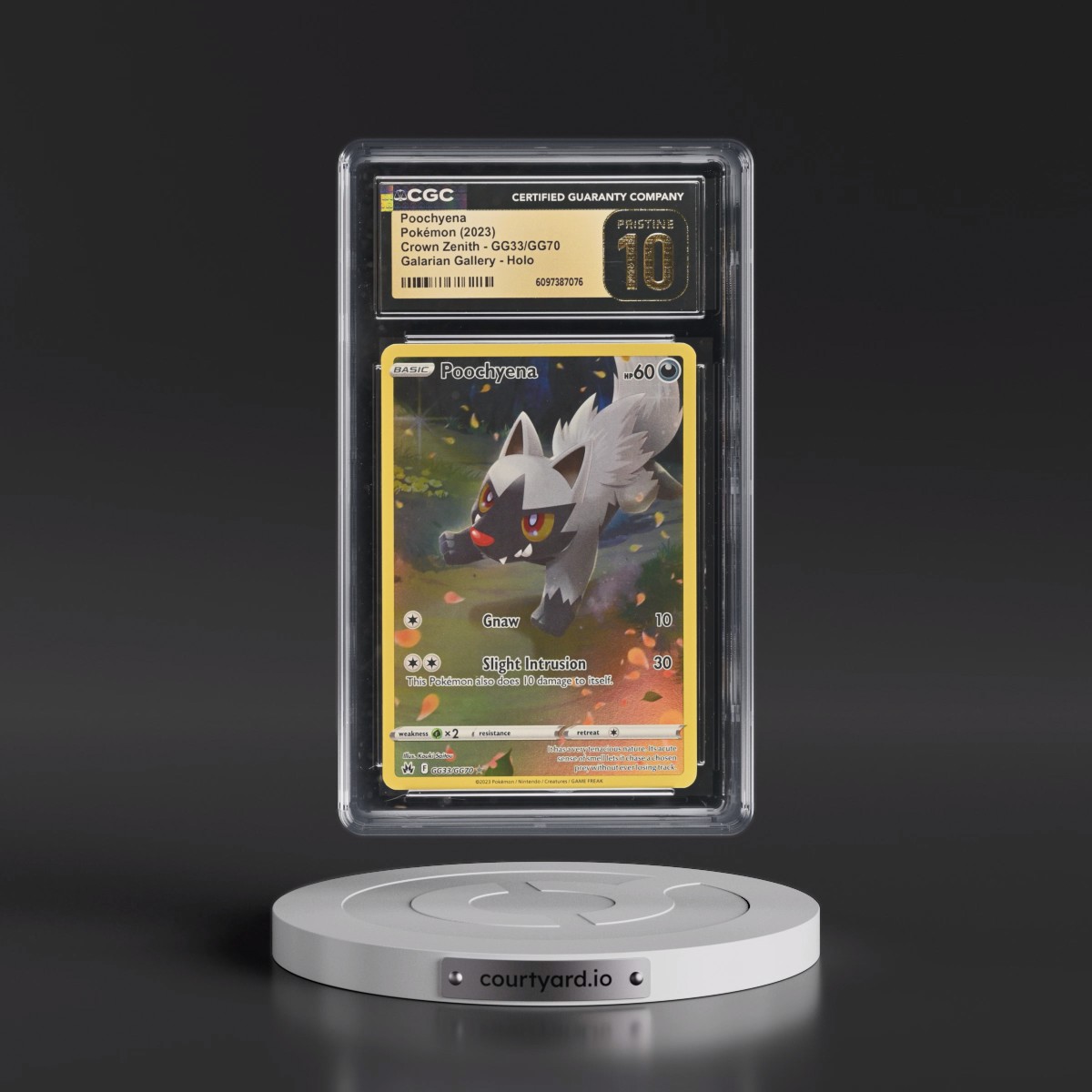 2023 Crown Zenith #GG33/GG70 Poochyena - Galarian Gallery Holo (CGC 10 PRISTINE)