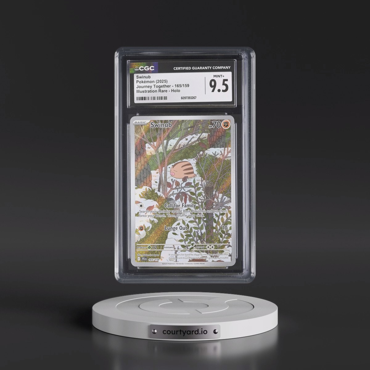 2024 Journey Together - JTG EN #165/159 Swinub - Illustration Rare Holo (CGC 9.5 MINT+)