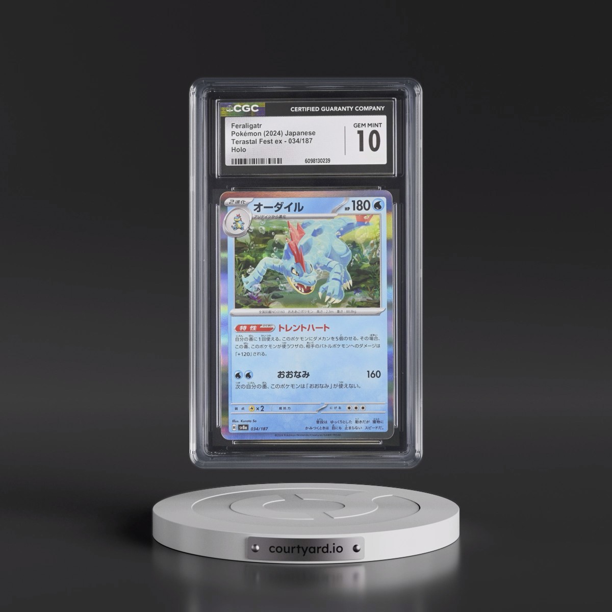 2024 High Class Pack: Terastal Fest ex - sv8a Feraligatr - Holo #034/187 CGC 10