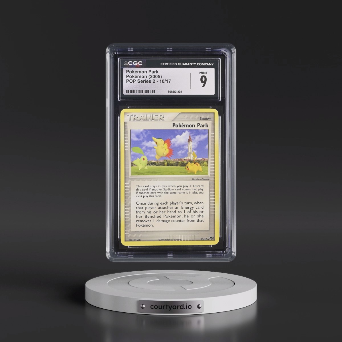 2005 POP Series 2 #10/17 Pokémon Park (CGC 9 MINT)