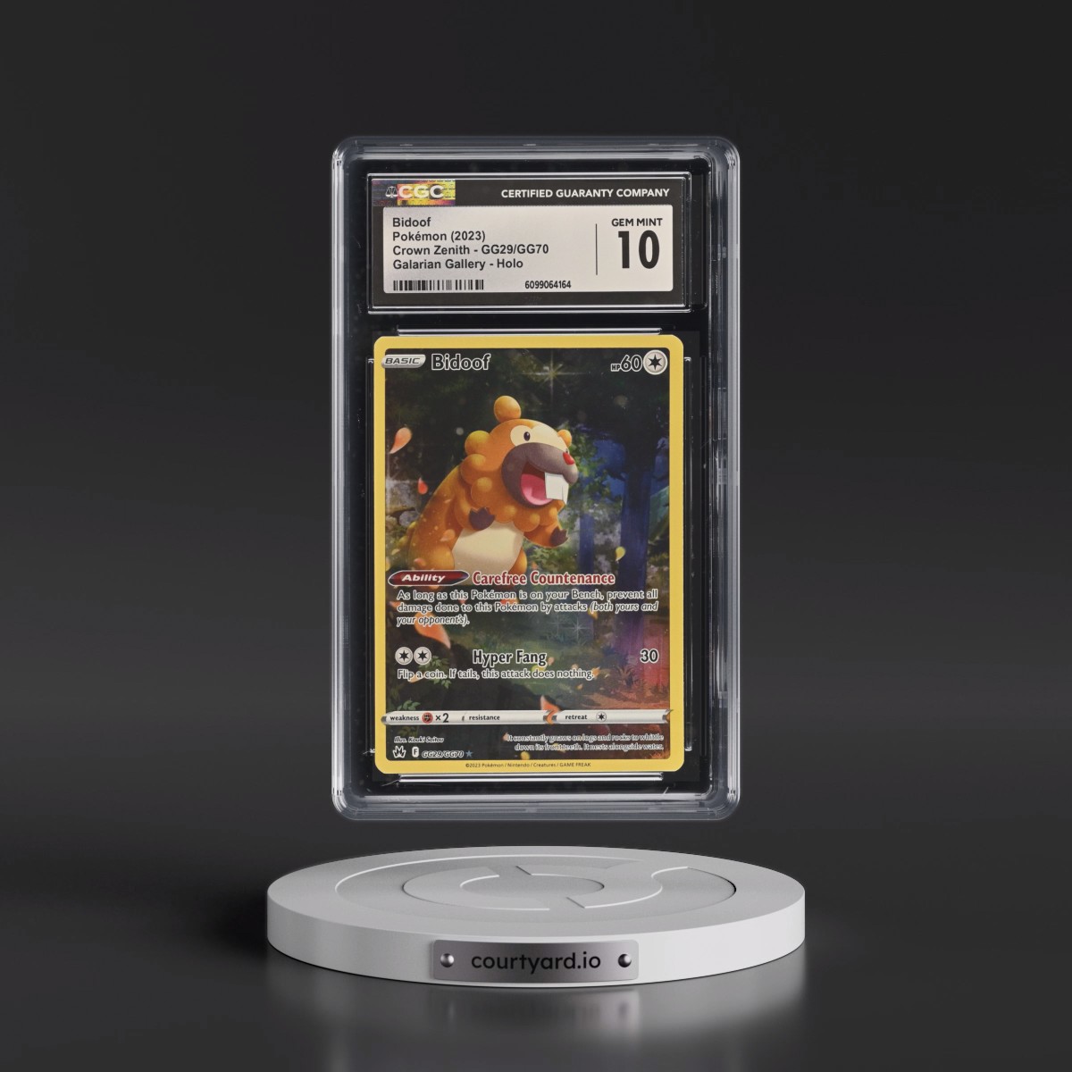 2023 Crown Zenith #GG29/GG70 Bidoof - Galarian Gallery Holo (CGC 10 GEM MINT)
