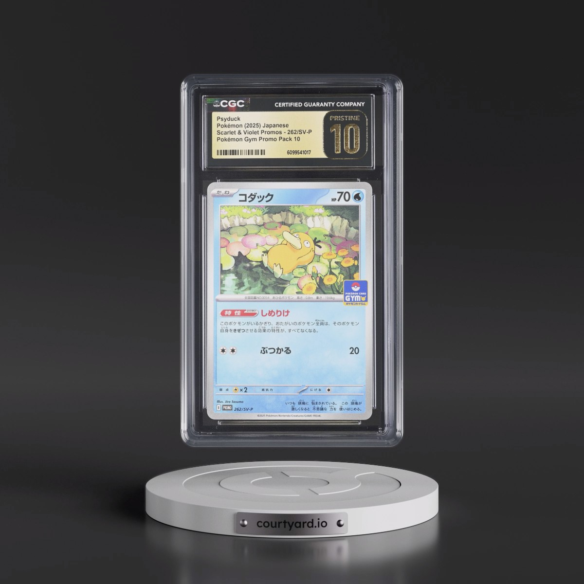 2025 Pokémon SV-P Promo #262 Psyduck - Gym Promo Pack 10 (CGC 10 PRISTINE)