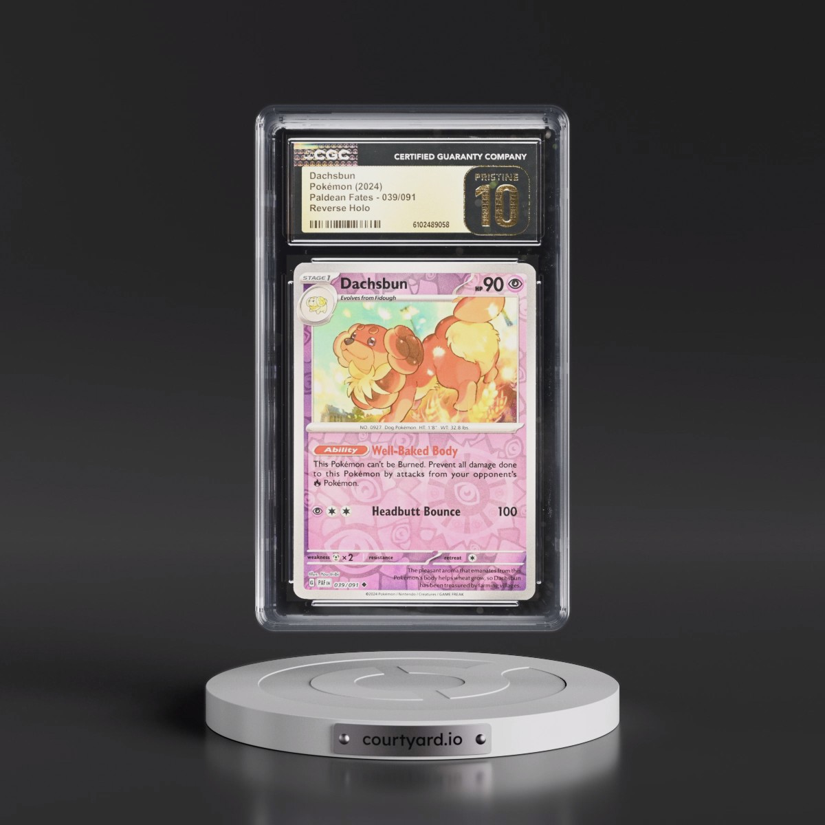 2024 Pokémon Paf EN-Paldean Fates #039 Dachsbun - Reverse Holo (CGC 10 PRISTINE)