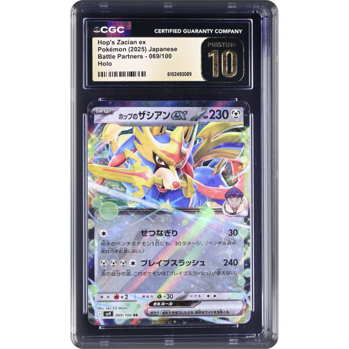 Battle Partners - Hop's Zacian