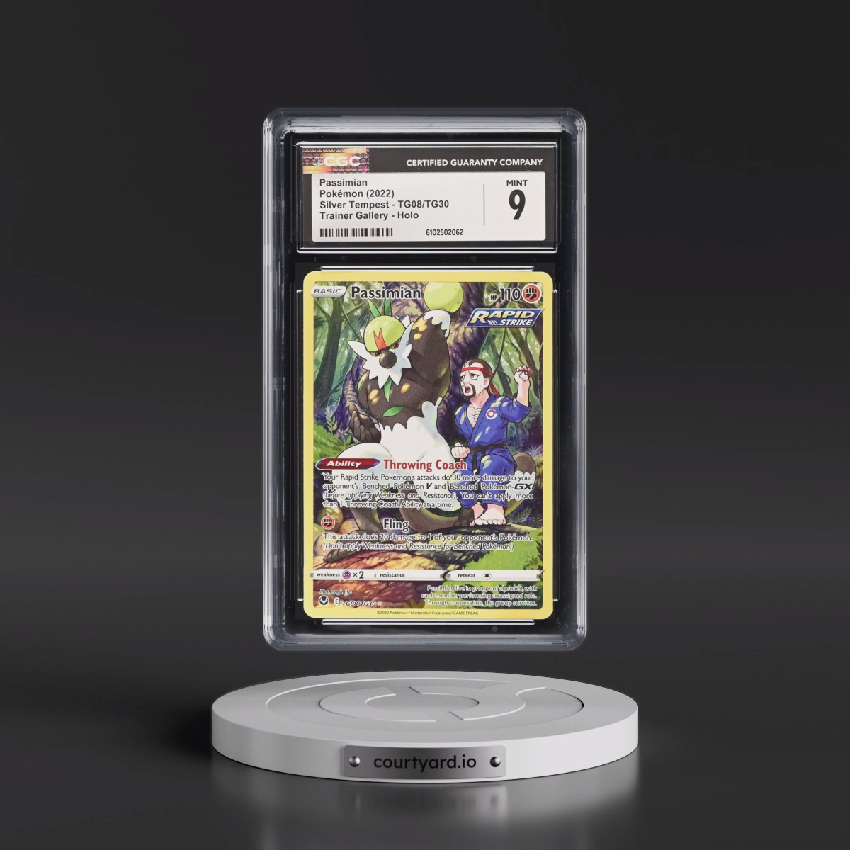2022 Silver Tempest #TG08/TG30 Passimian - Trainer Gallery Holo (CGC 9 MINT)