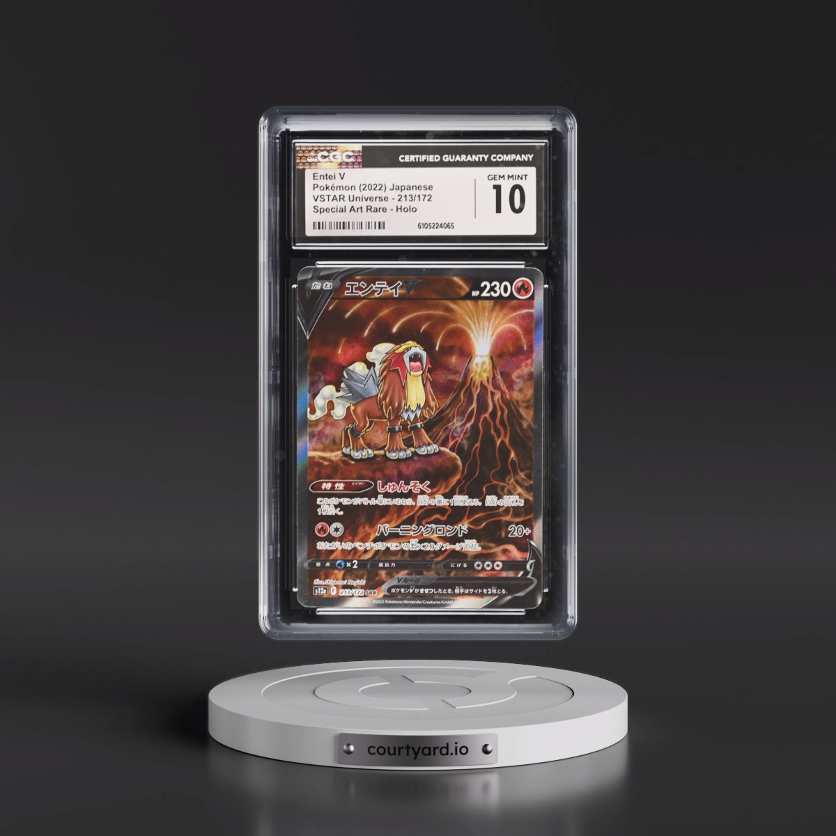 2022 VSTAR Universe #213/172 Entei V - Special Art Rare Holo (CGC 10 GEM MINT)
