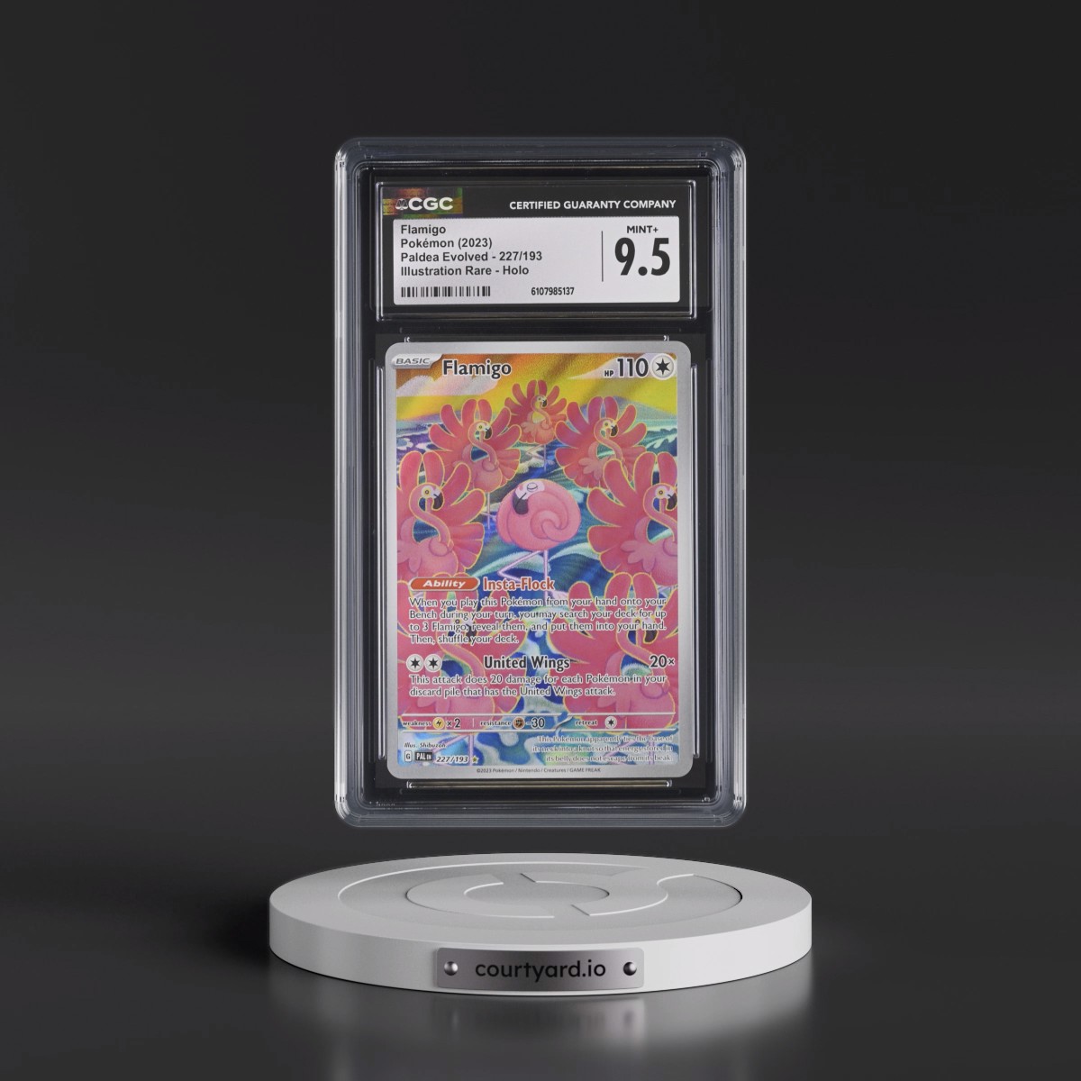 2023 Paldea Evolved - PAL EN #227/193 Flamigo - Illustration Rare Holo (CGC 9.5 MINT+)