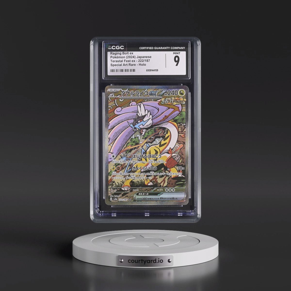 2024 High Class Pack: Terastal Fest ex - sv8a #222/187 Raging Bolt ex - Special Art Rare Holo (CGC 9 MINT)
