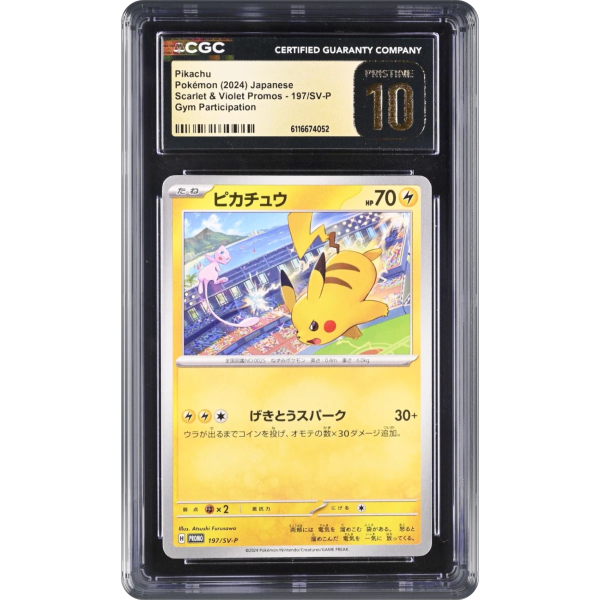 Scarlet & Violet P Pikachu - Gym Participation
