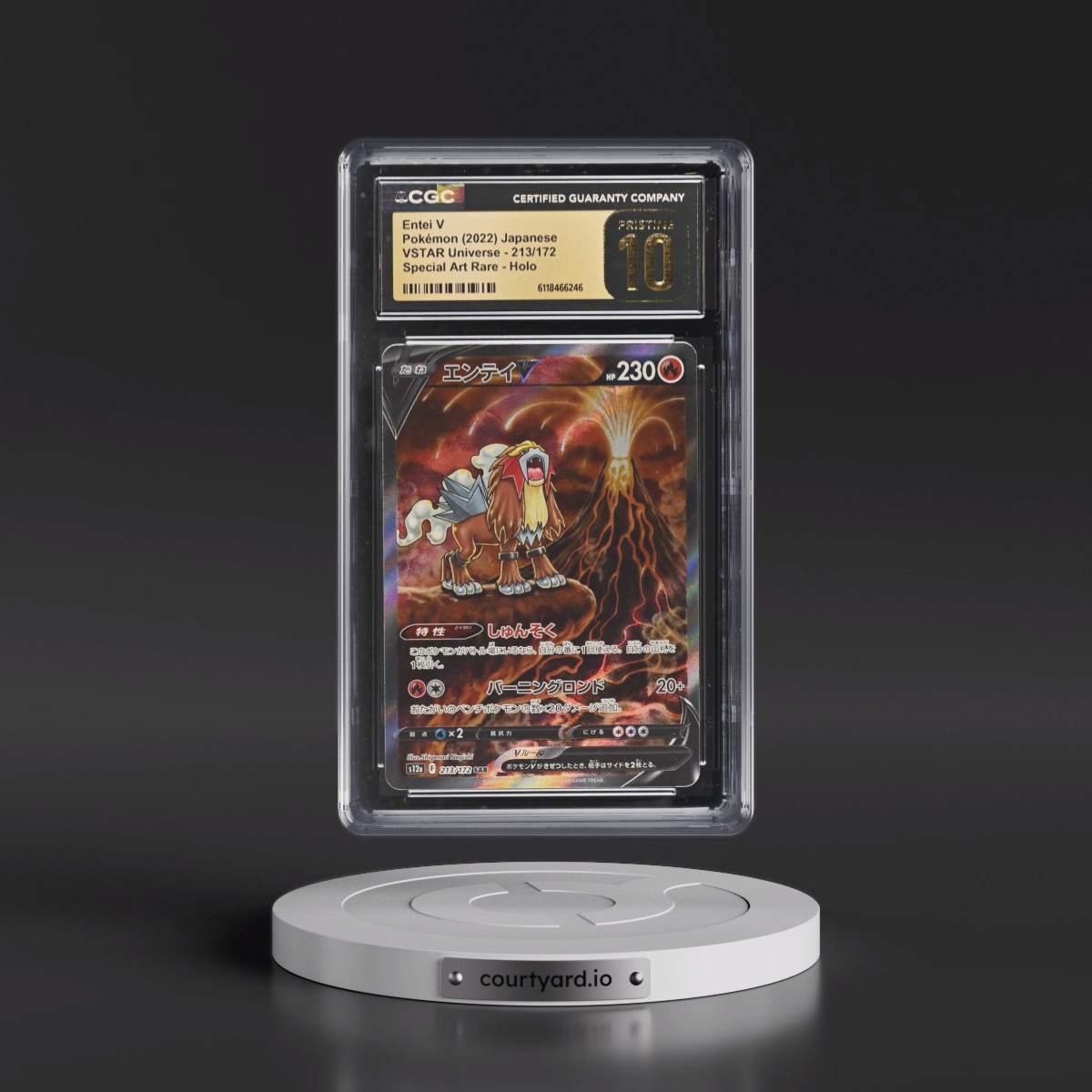 2022 VSTAR Universe #213/172 Entei V - Special Art Rare Holo (CGC 10 PRISTINE)