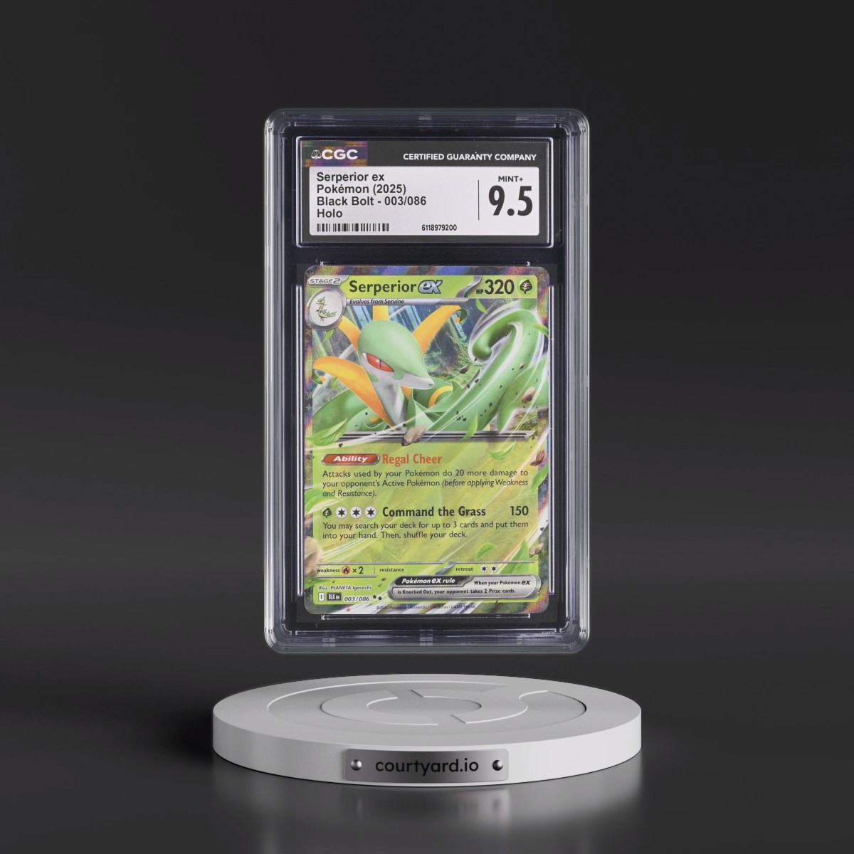 2025 Black Bolt - BLK EN #003/086 Serperior ex - Holo (CGC 9.5 MINT+)