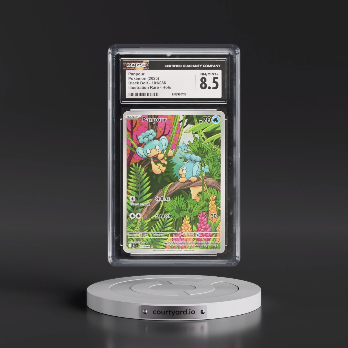 2025 Black Bolt - BLK EN #101/086 Panpour - Illustration Rare Holo (CGC 8.5 NM-MT+)