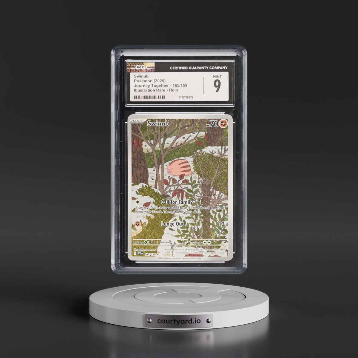 2024 Journey Together - JTG EN #165/159 Swinub - Illustration Rare Holo (CGC 9 MINT)