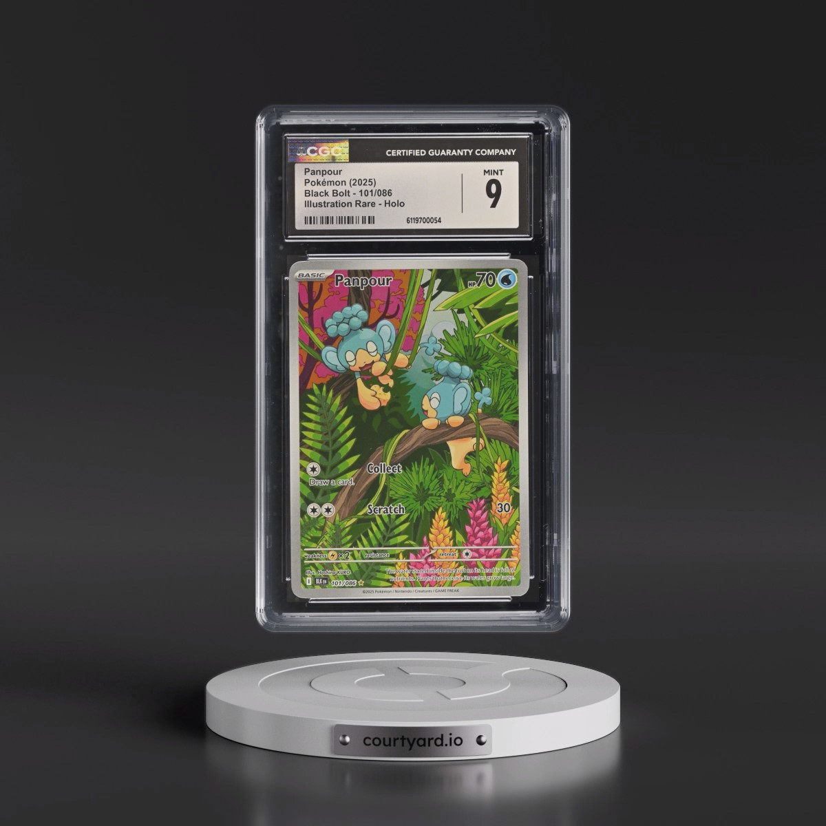 2025 Pokémon Blk EN-Black Bolt #101 Panpour - Illustration Rare (CGC 9 MINT)