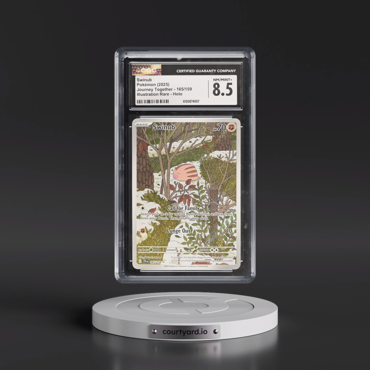 2024 Journey Together - JTG EN #165/159 Swinub - Illustration Rare Holo (CGC 8.5 NM-MT+)