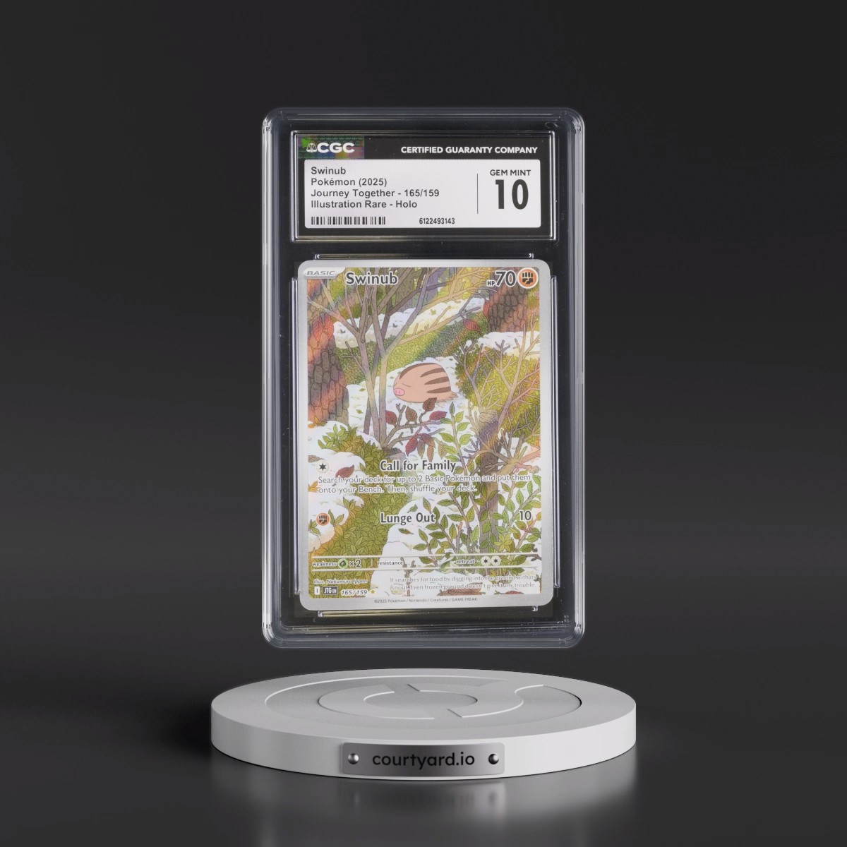 2024 Journey Together - JTG EN #165/159 Swinub - Illustration Rare Holo (CGC 10 GEM MINT)