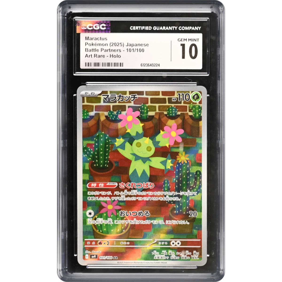 Battle Partners - Maractus
