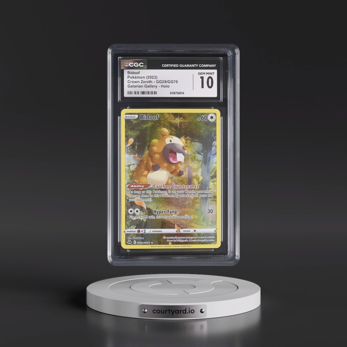 2023 Crown Zenith #GG29/GG70 Bidoof - Galarian Gallery Holo (CGC 10 GEM MINT)