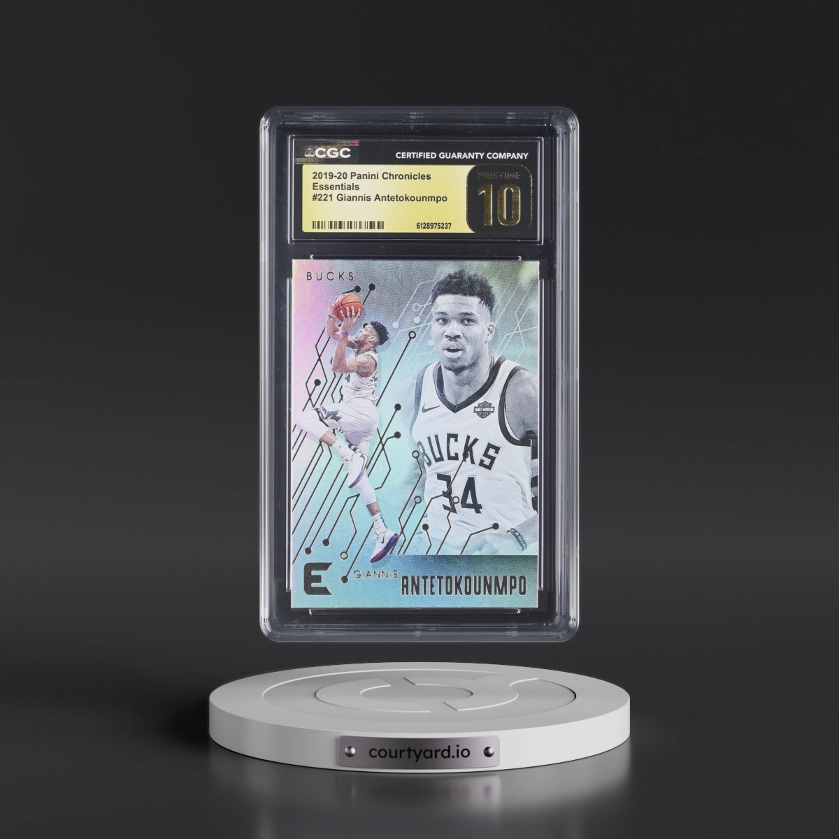 2019 Panini Chronicles #221 Giannis Antetokounmpo (CGC 10 PRISTINE)