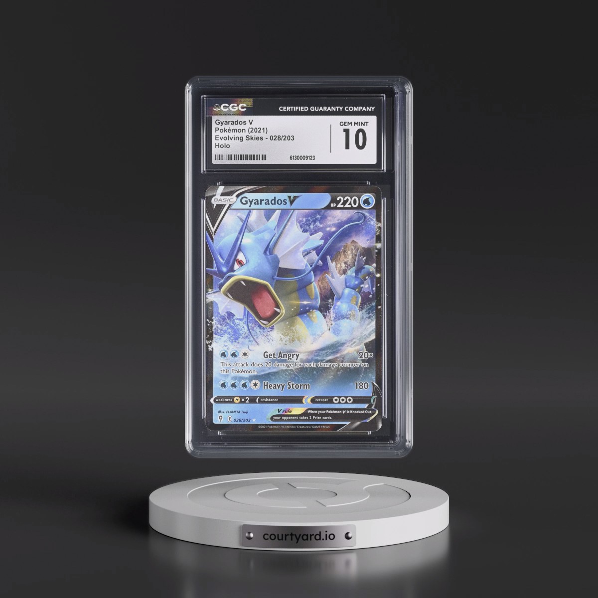 2021 Evolving Skies #028/203 Gyarados V - Holo (CGC 10 GEM MINT)