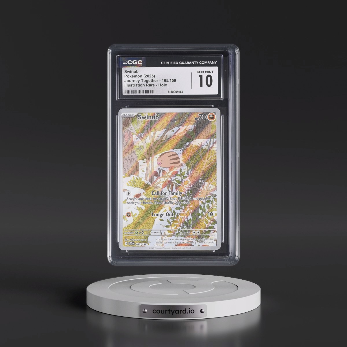 2024 Journey Together - JTG EN #165/159 Swinub - Illustration Rare Holo (CGC 10 GEM MINT)