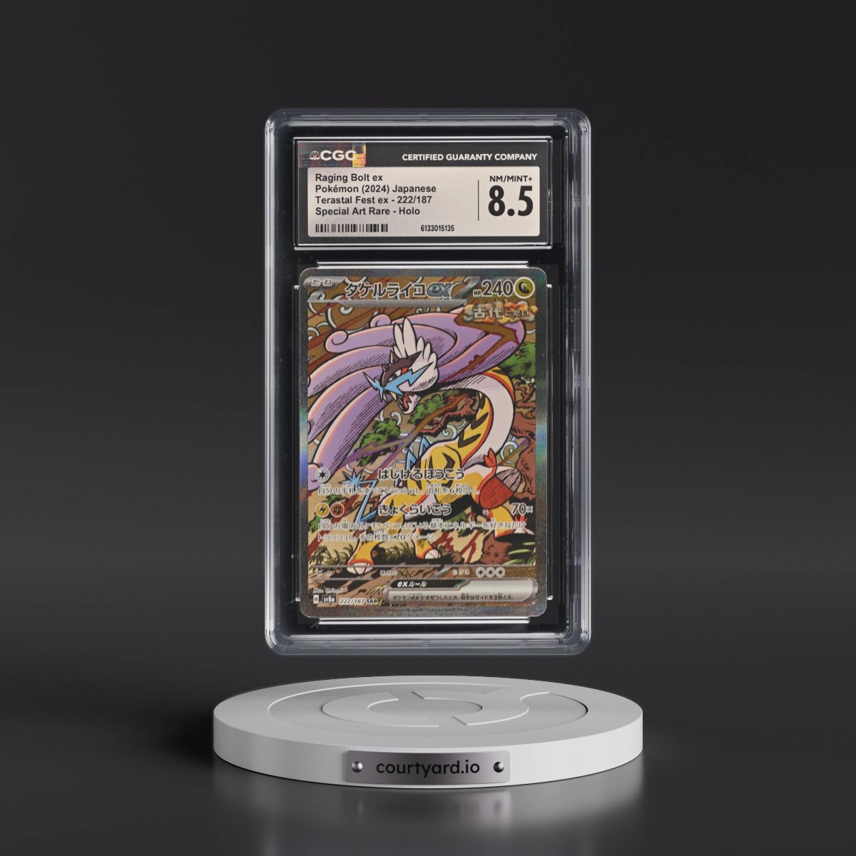 2024 High Class Pack: Terastal Fest ex - sv8a #222/187 Raging Bolt ex - Special Art Rare Holo (CGC 8.5 NM-MT+)