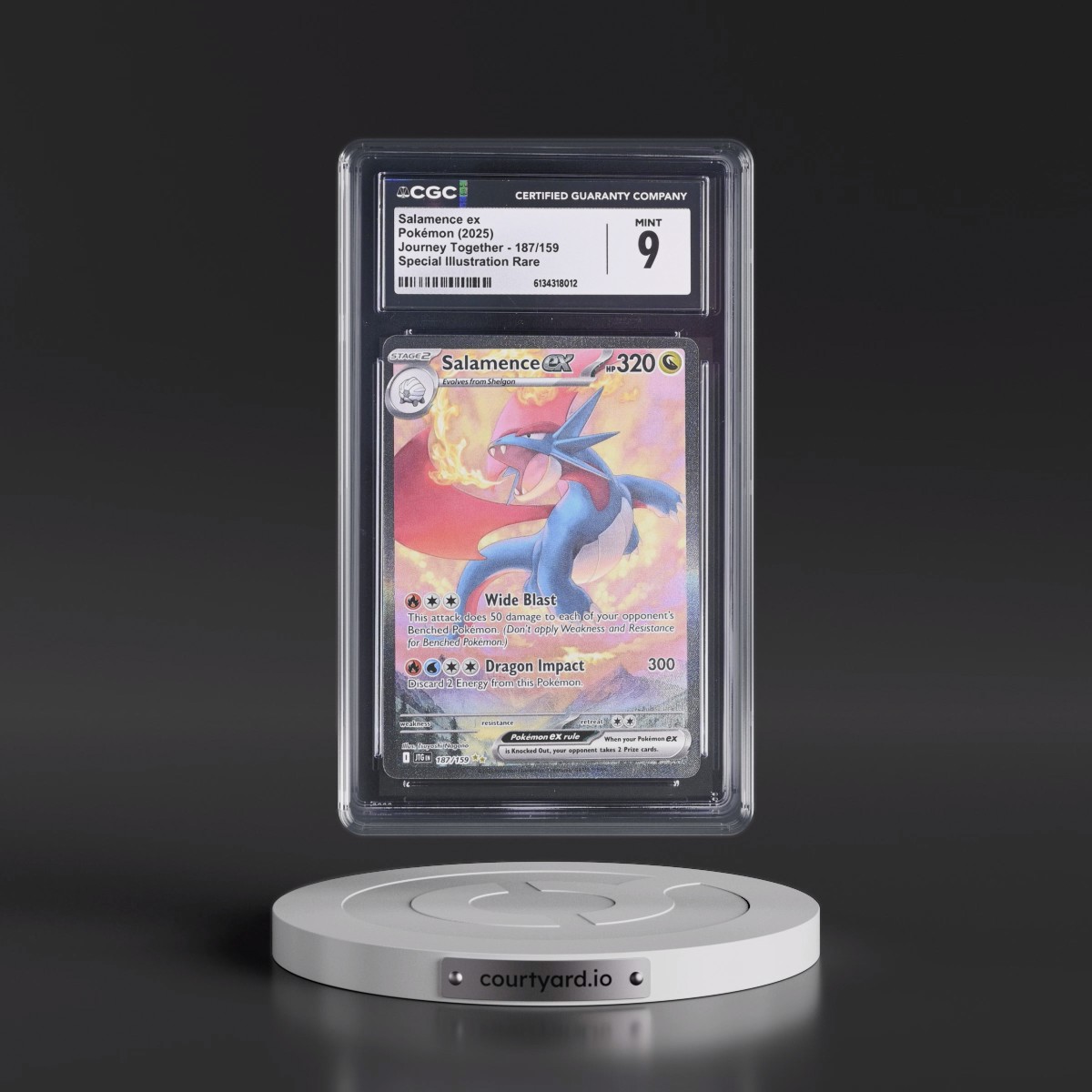 2024 Journey Together - JTG EN #187/159 Salamence ex - Special Illustration Rare (Holo) (CGC 9 MINT)