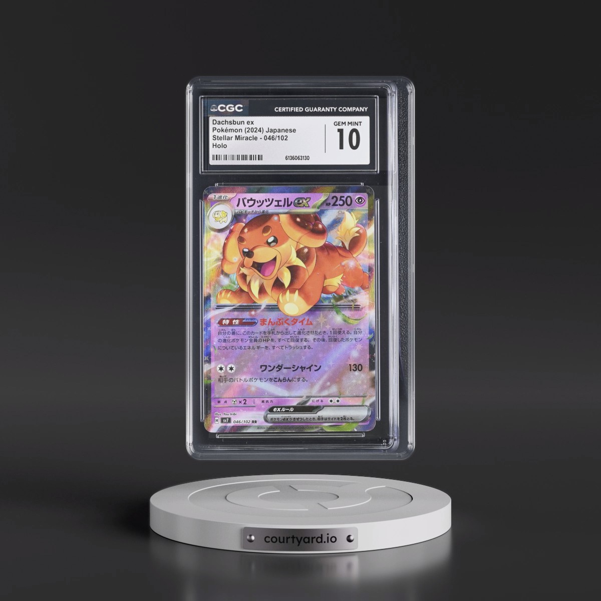 2024 Stellar Miracle #046/102 Dachsbun ex - Holo (CGC 10 GEM MINT)