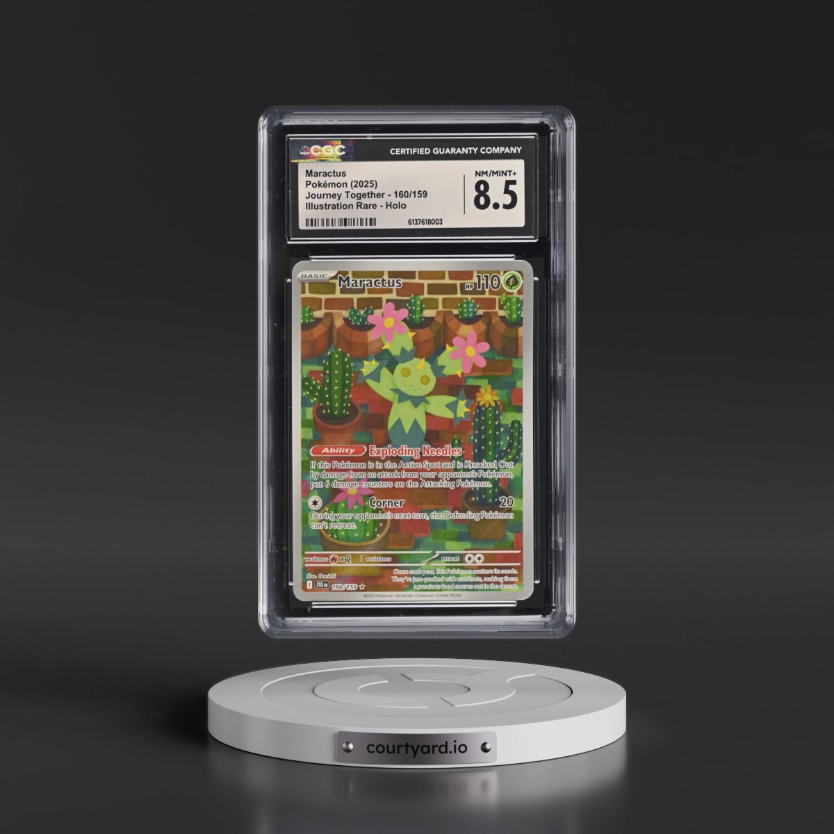 2024 Journey Together - JTG EN #160/159 Maractus - Illustration Rare Holo (CGC 8.5 NM-MT+)
