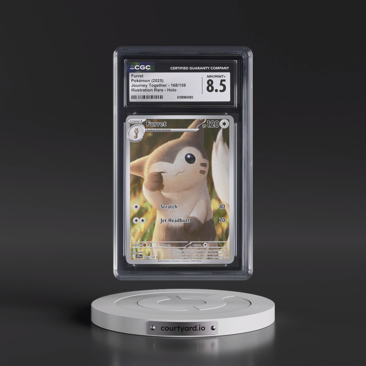 2024 Journey Together - JTG EN #168/159 Furret - Illustration Rare Holo (CGC 8.5 NM-MT+)