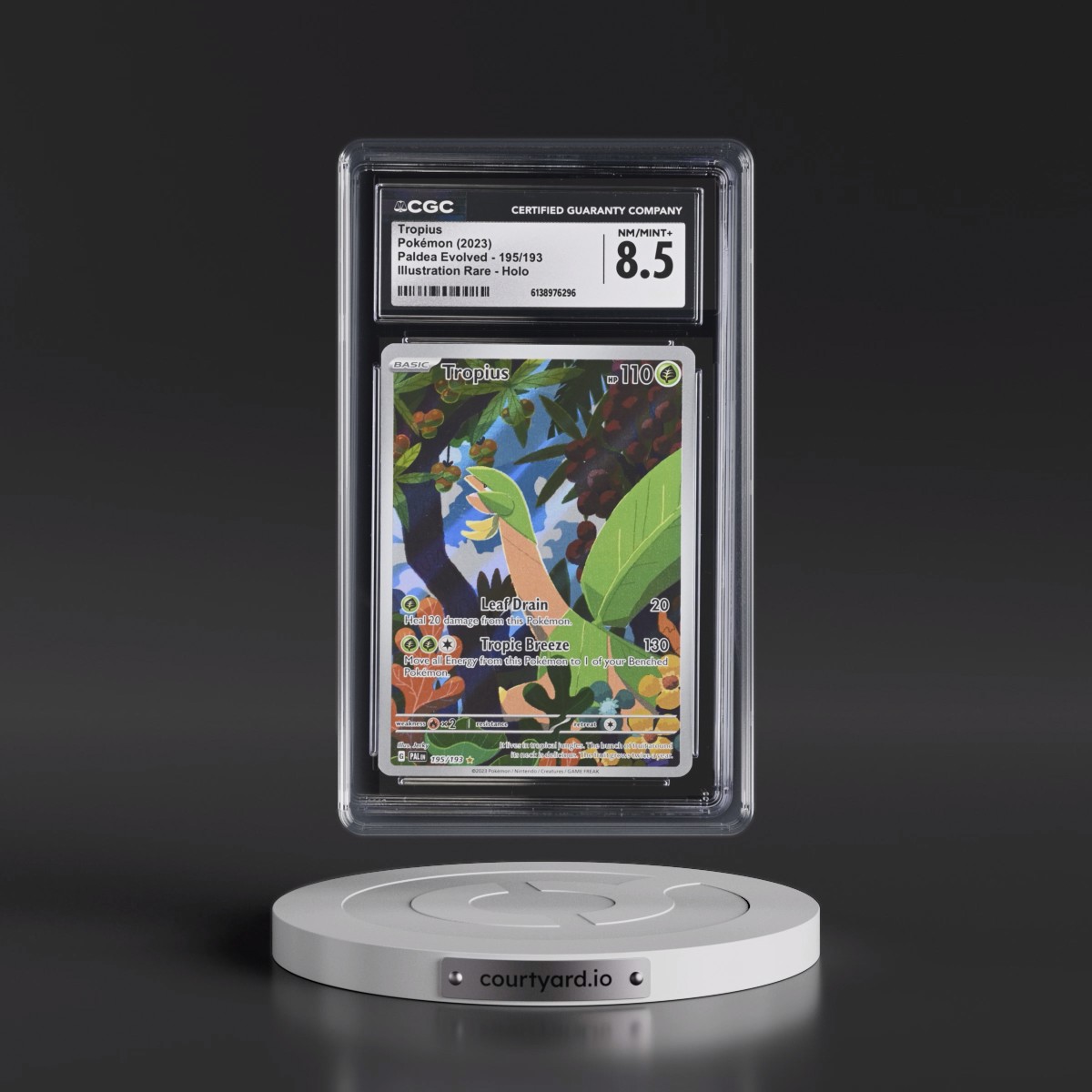 2023 Paldea Evolved - PAL EN #195/193 Tropius - Illustration Rare Holo (CGC 8.5 NM-MT+)