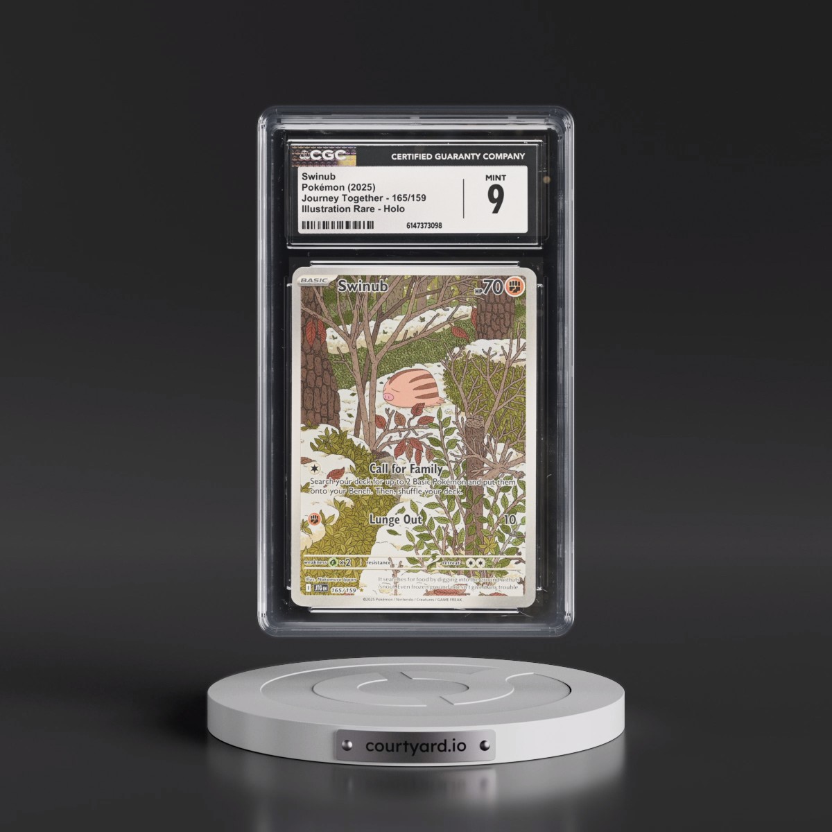 2024 Journey Together - JTG EN #165/159 Swinub - Illustration Rare Holo (CGC 9 MINT)