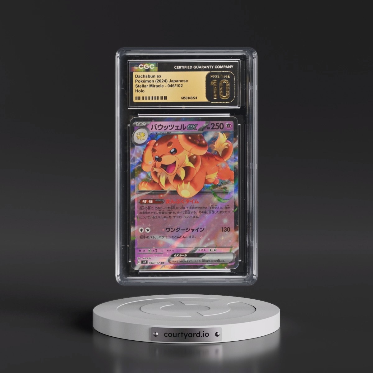 2024 Stellar Miracle Dachsbun ex - Holo #046/102 CGC 10