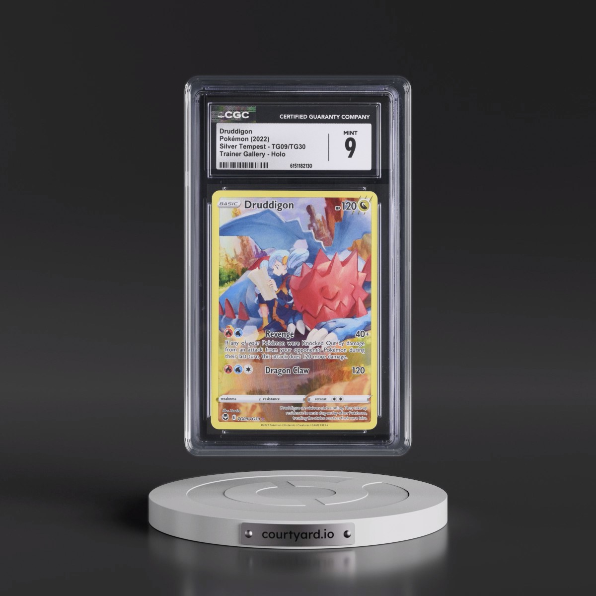 2022 Silver Tempest #TG09/TG30 Druddigon - Trainer Gallery Holo (CGC 9 MINT)