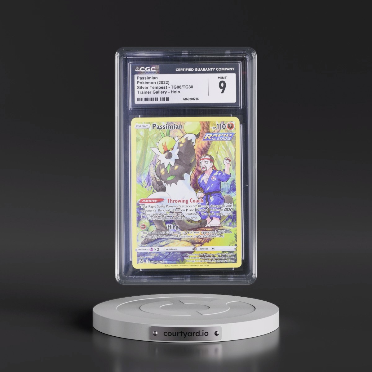 2022 Silver Tempest #TG08/TG30 Passimian - Trainer Gallery Holo (CGC 9 MINT)