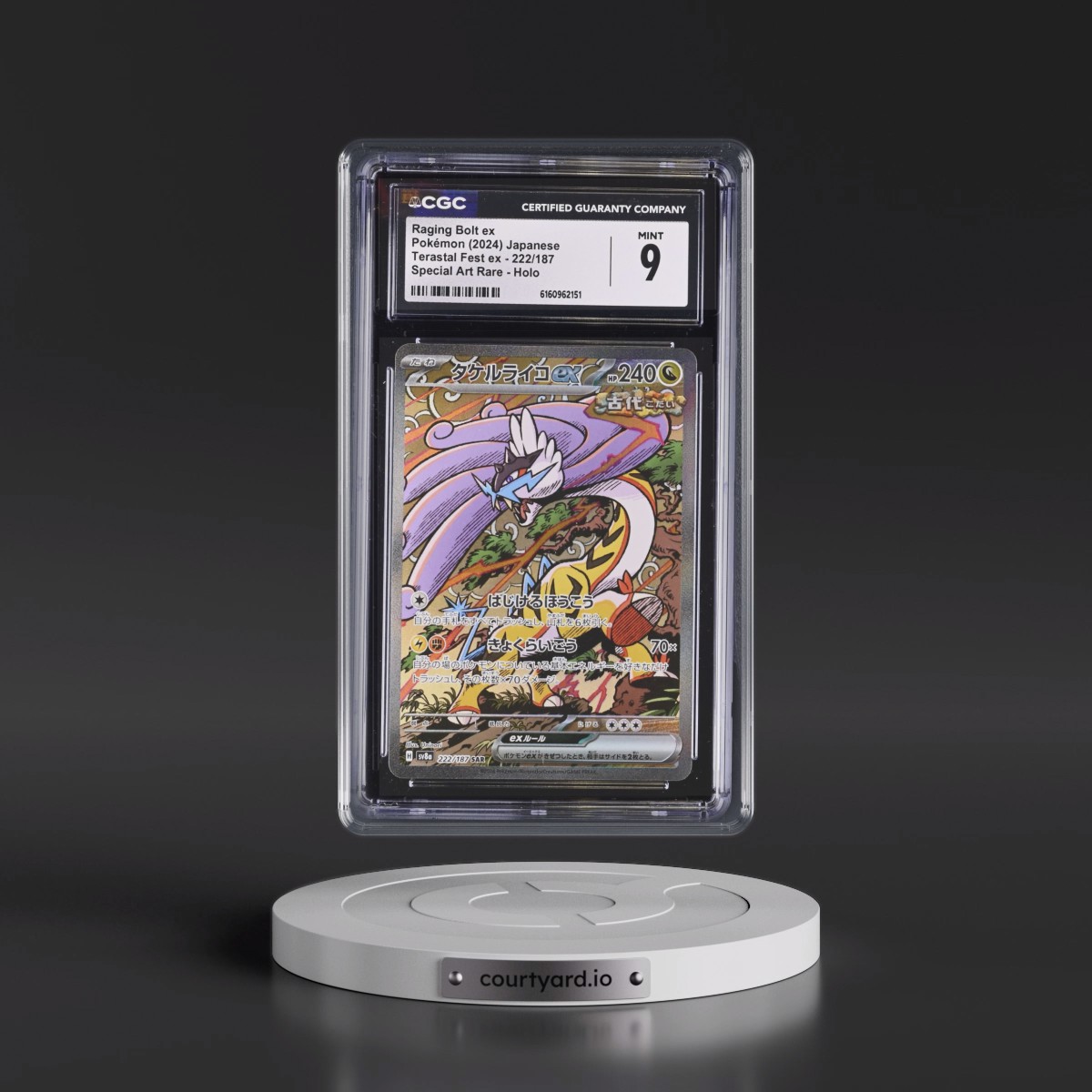 2024 High Class Pack: Terastal Fest ex - sv8a #222/187 Raging Bolt ex - Special Art Rare Holo (CGC 9 MINT)