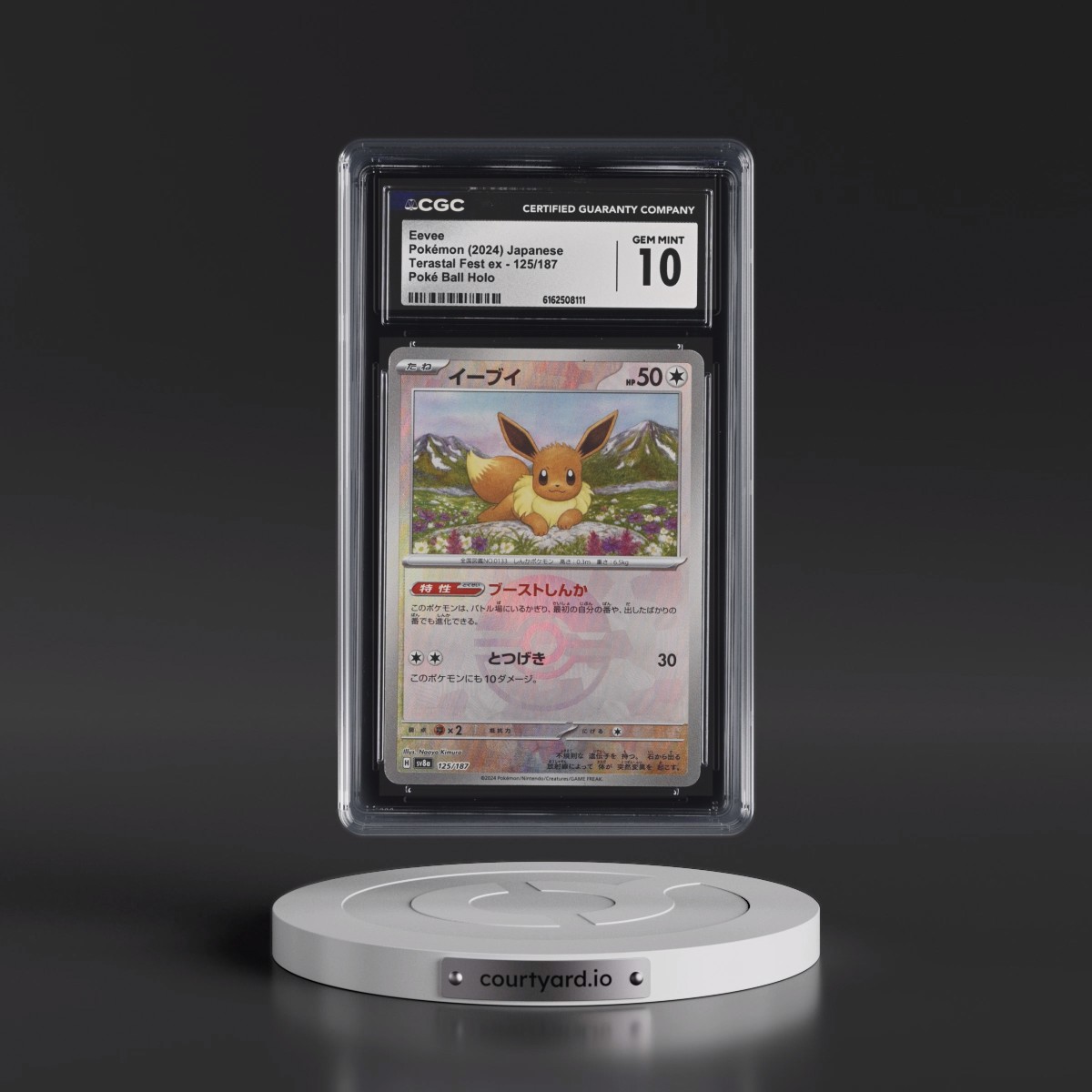 2024 High Class Pack: Terastal Fest ex - sv8a #125/187 Eevee - Poké Ball Holo (CGC 10 GEM MINT)