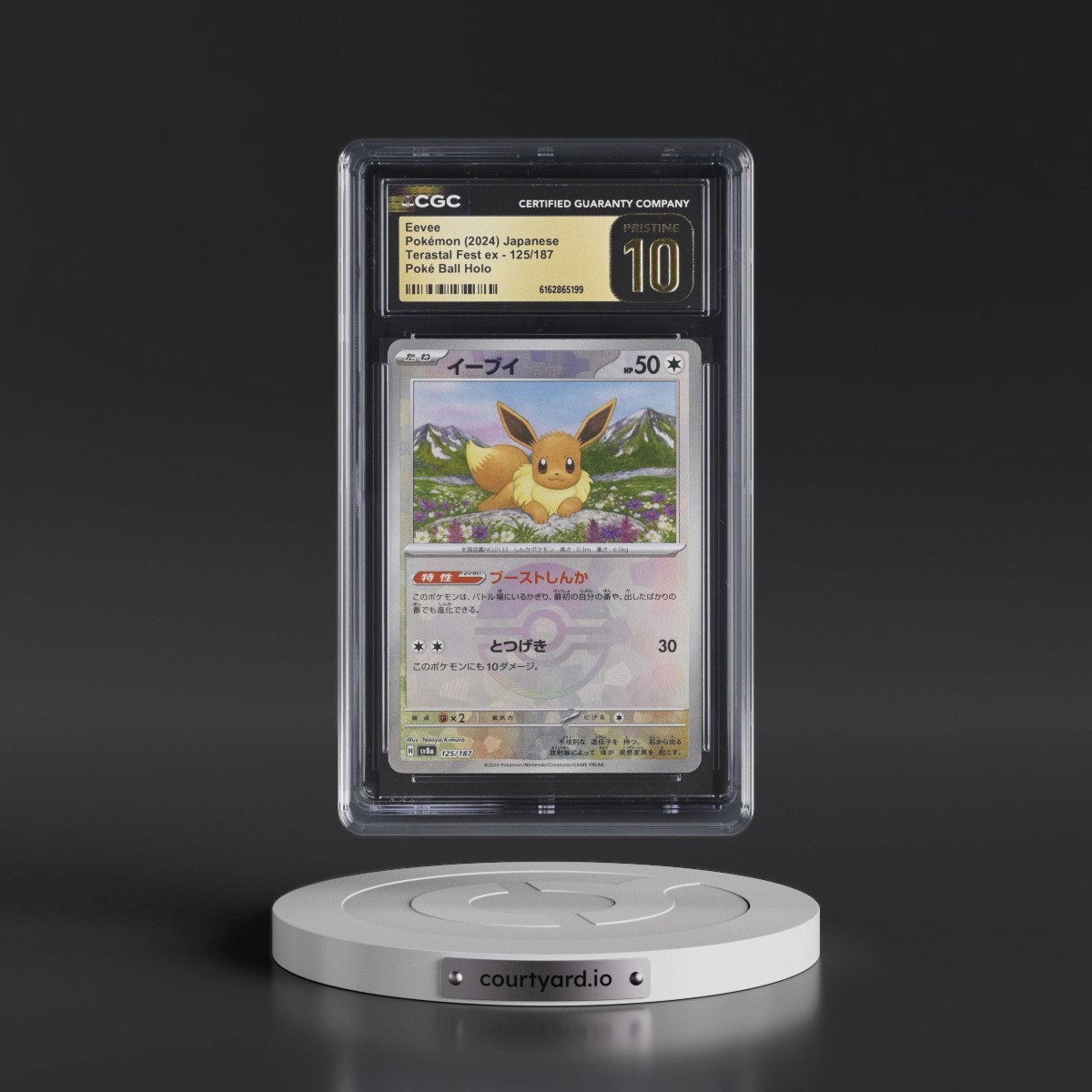 2024 High Class Pack: Terastal Fest ex - sv8a Eevee - Poké Ball Holo #125/187 CGC 10