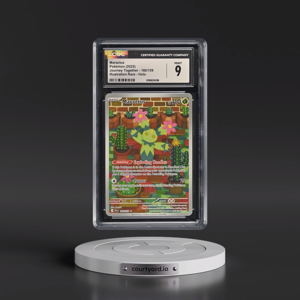 2024 Journey Together - JTG EN #160/159 Maractus - Illustration Rare Holo (CGC 9 MINT)