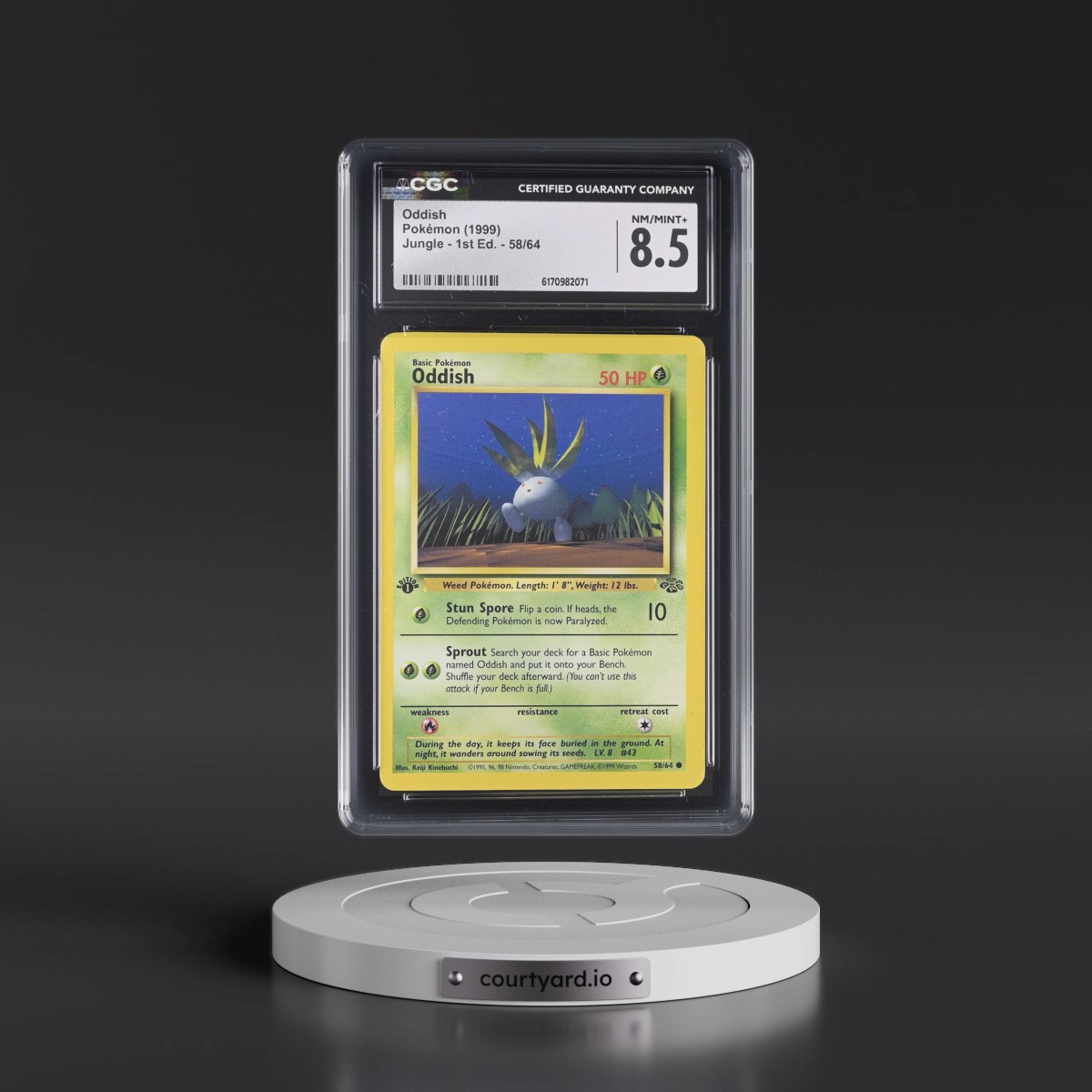 1999 Jungle #58/64 Oddish - 1st Edition 1st Edition (CGC 8.5 NM-MT+)