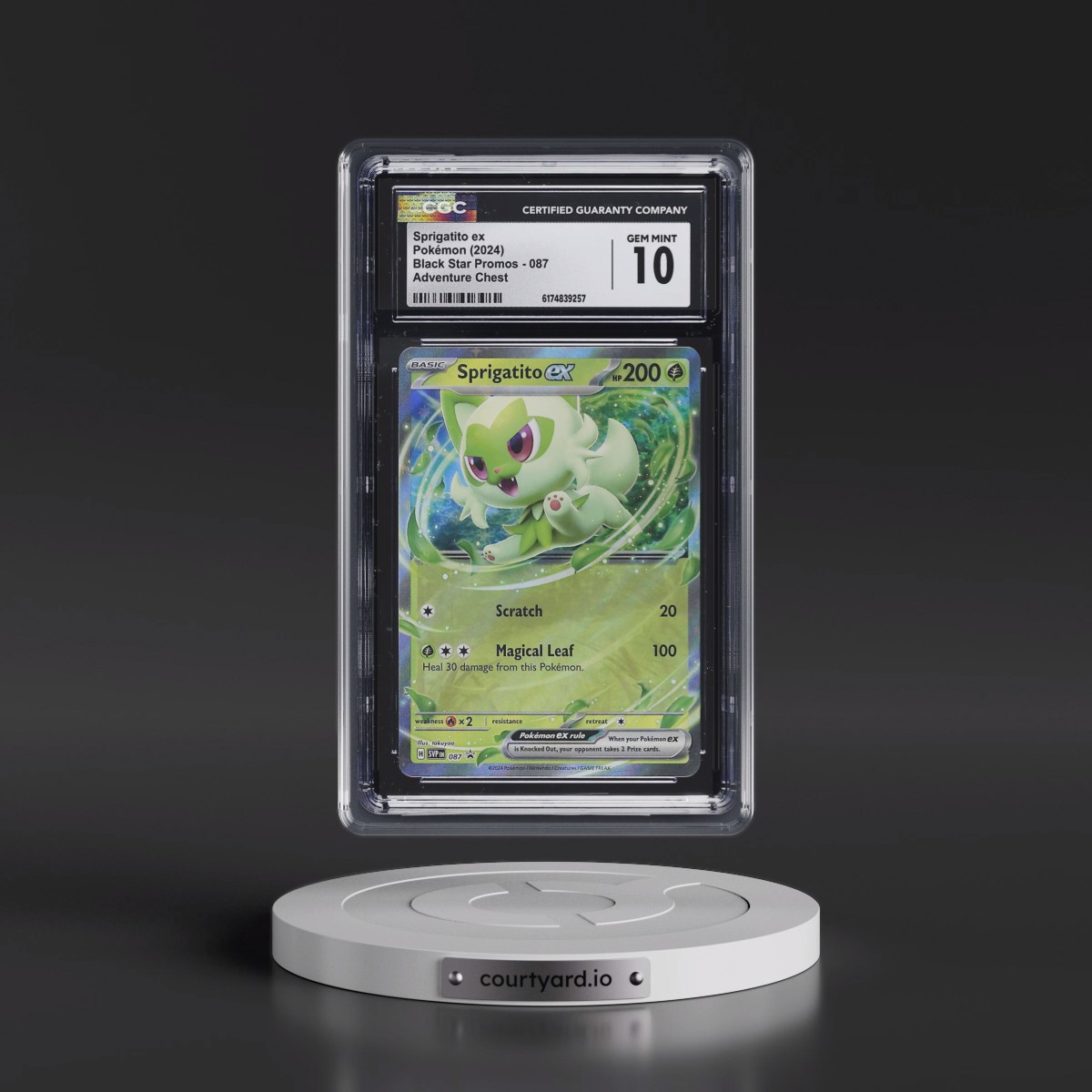 2023 Black Star Promos - Scarlet & Violet SVP EN #087 Sprigatito ex - Adventure Chest (Holo) (CGC 10 GEM MINT)