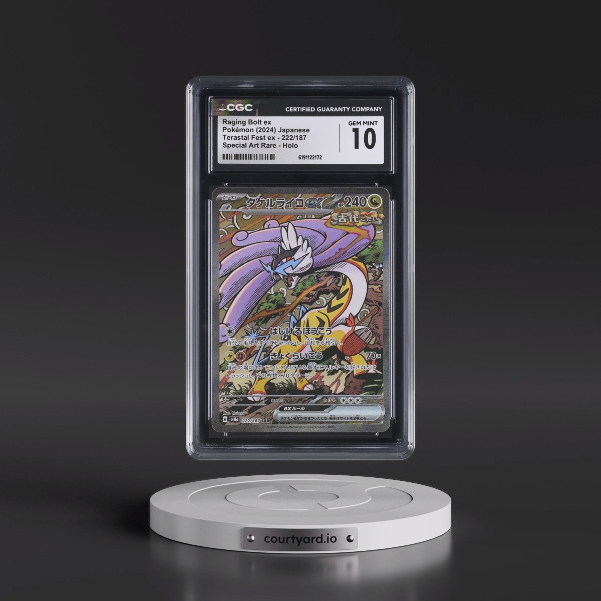 2024 High Class Pack: Terastal Fest ex - sv8a #222/187 Raging Bolt ex - Special Art Rare Holo (CGC 10 GEM MINT)