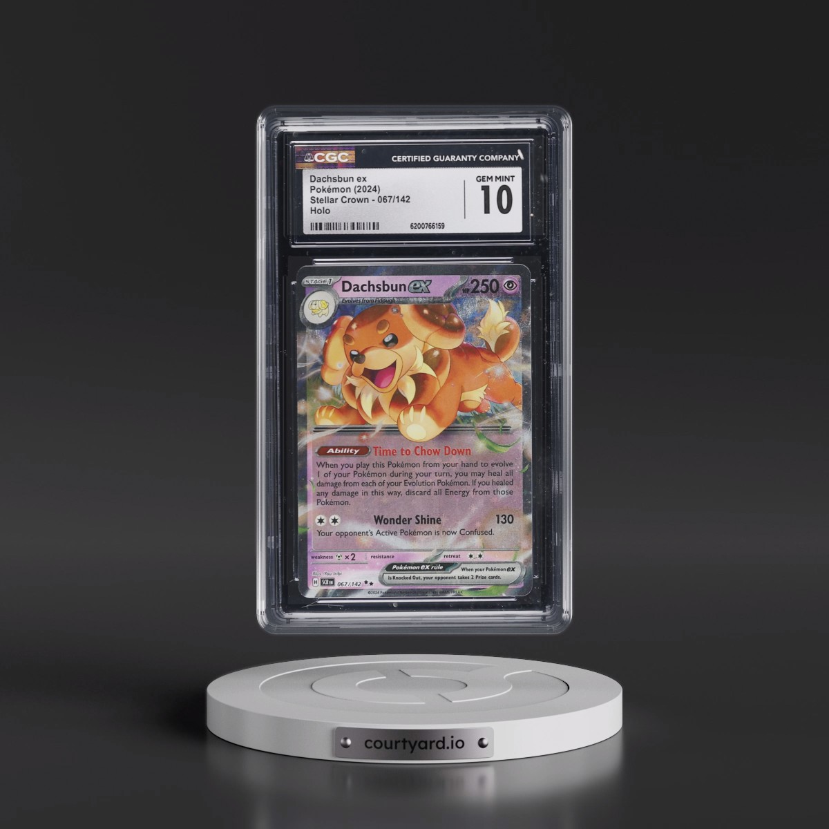 2024 Stellar Crown - SCR EN Dachsbun ex - Holo #067/142 CGC 10