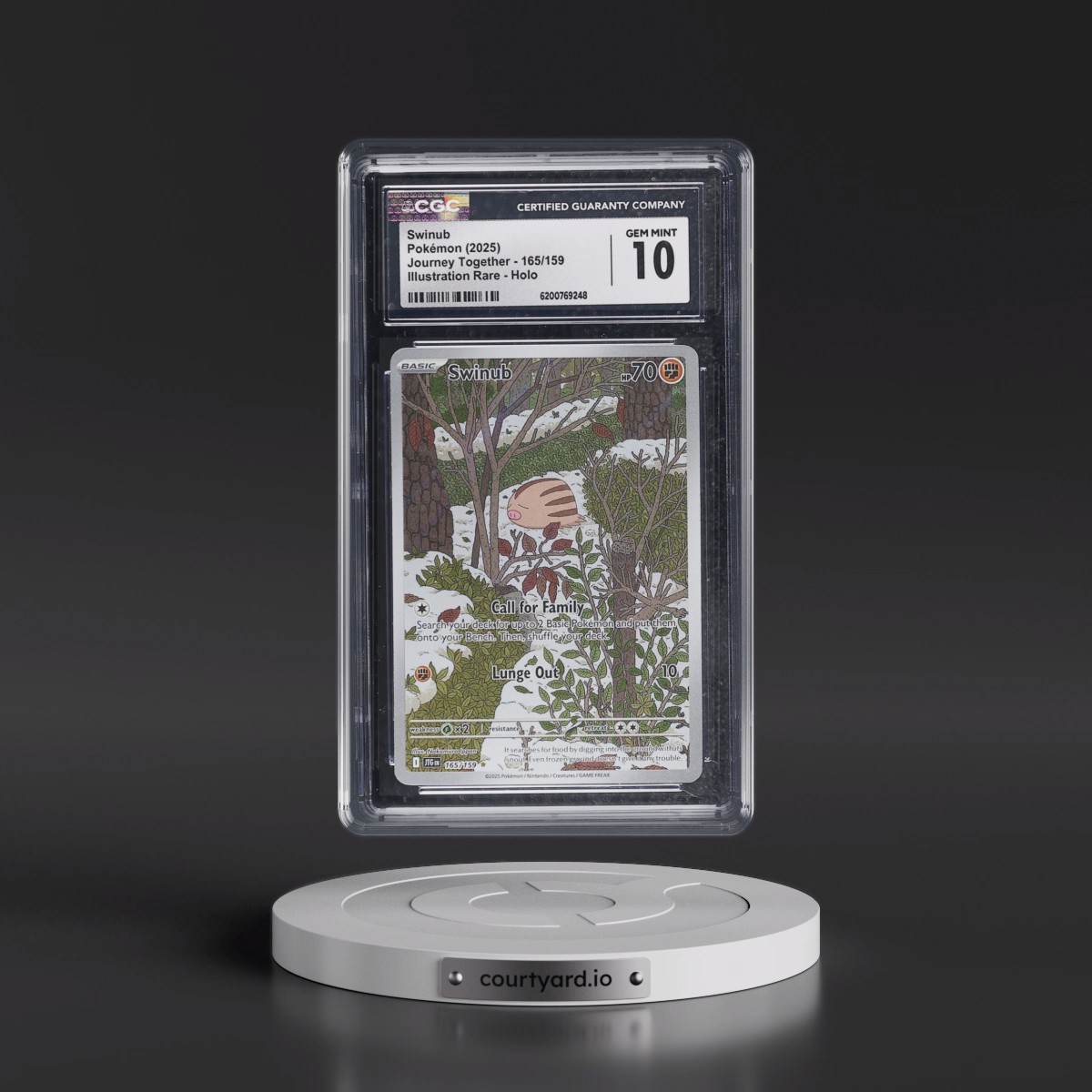 2024 Journey Together - JTG EN Swinub - Illustration Rare Holo #165/159 CGC 10